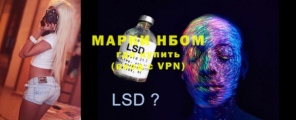спиды Бородино