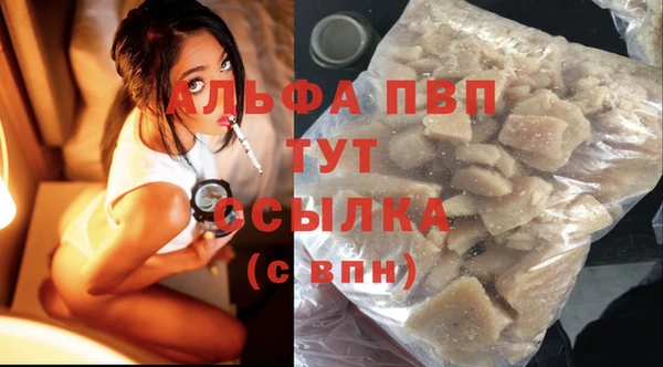 спиды Бородино