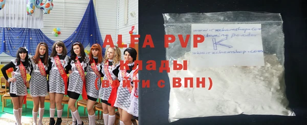 спиды Бородино