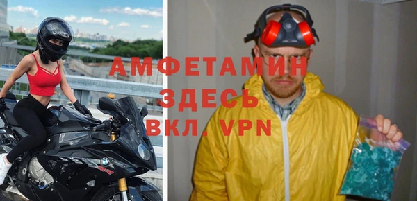 спиды Бородино